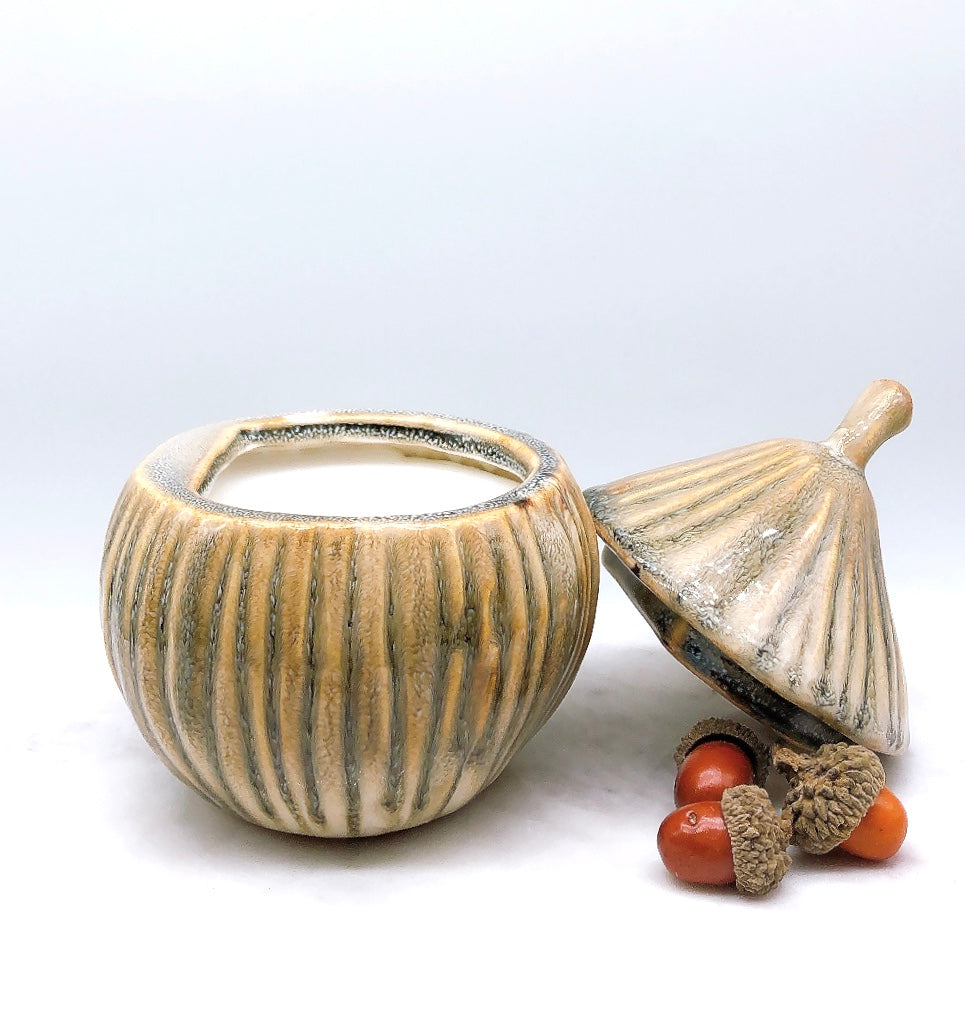 Acorn