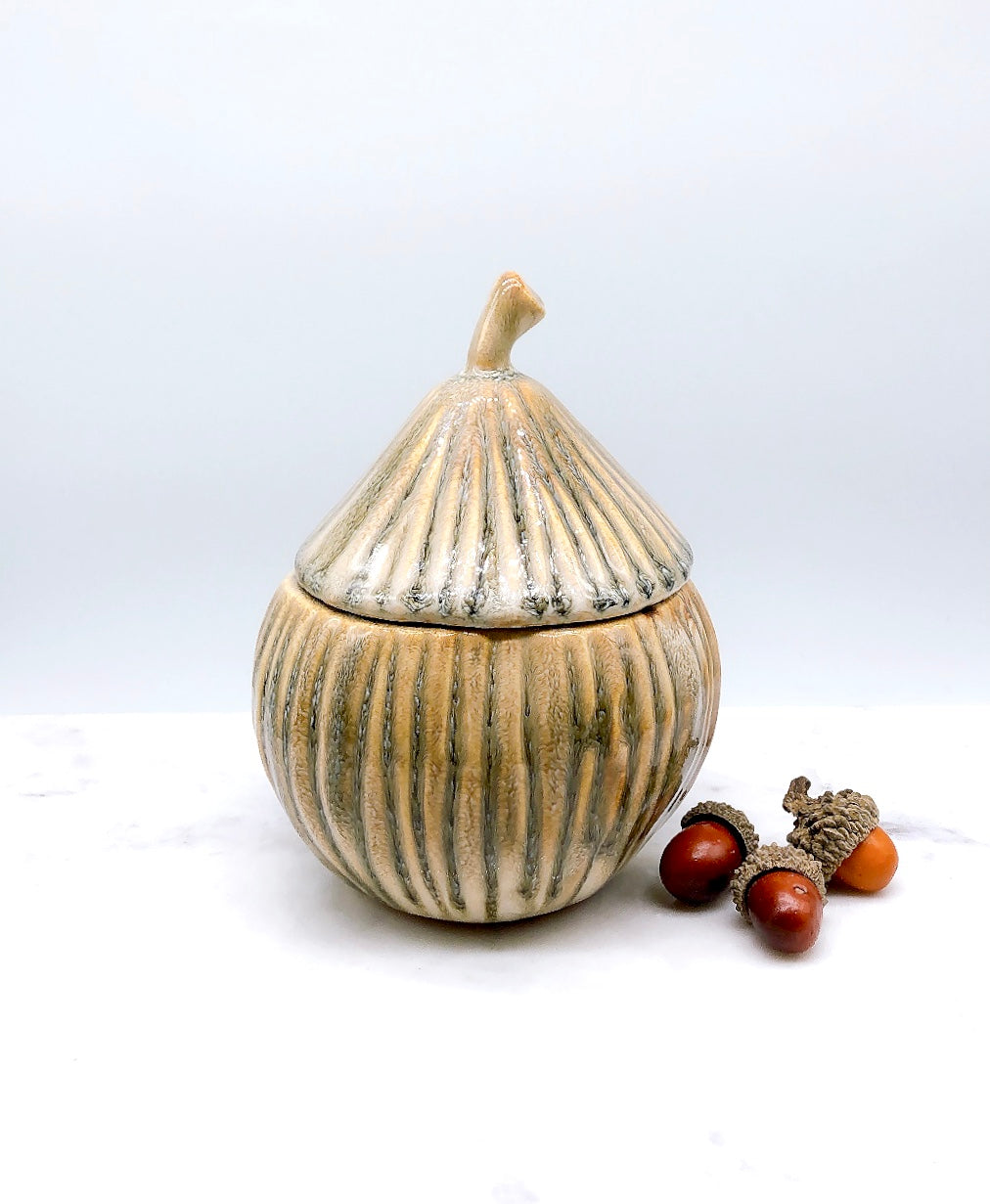 Acorn
